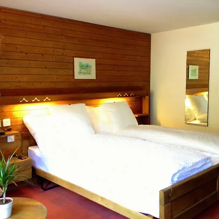 호텔 La Collina Saas Fee