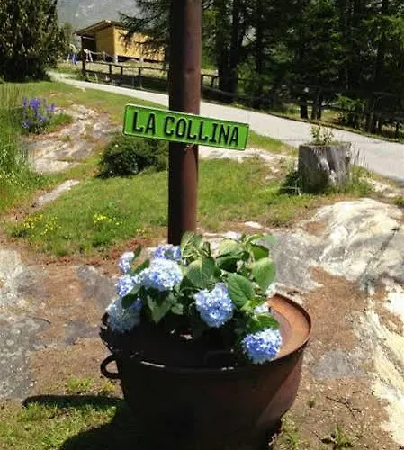 La Collina מלון 3*